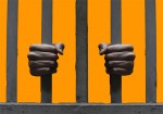 بازداشت اعضای نارنجی