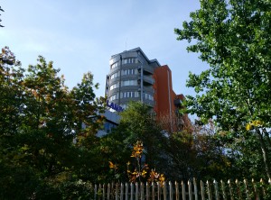 HDR OFF