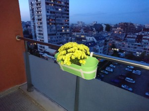 عکس برداری شبانه اکسپریا Z5